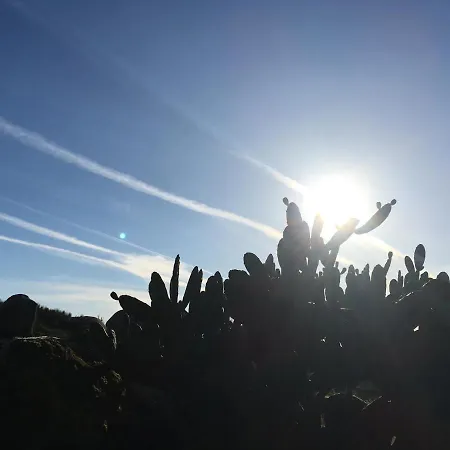 Quinta Do Sobral De Casa de Férias