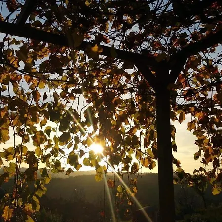 Quinta Do Sobral De *