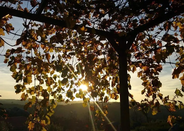 Quinta Do Sobral De *